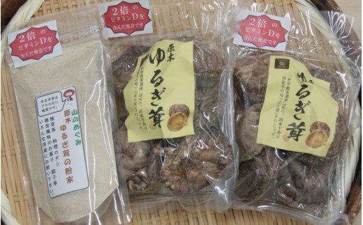 中野屋の油留木乾し椎茸 ＆椎茸パウダーセット_1734R