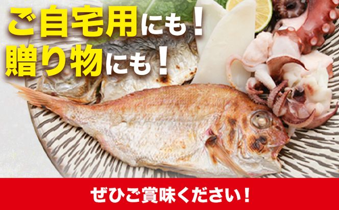 A-136 魚々干 今日の漁りセット Bセット 灰干し 鯛 イカ タコ 鰆 特定非営利活動法人 かさおか島づくり海社《45日以内に出荷予定(土日祝除く)》岡山県 笠岡市 魚 さかな 干し おまかせ 詰め合わせ 天然魚介 魚介---A-136---