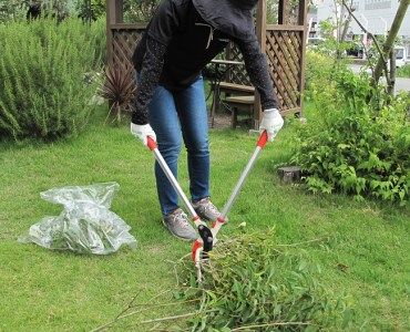 庭木のお手入れに　太枝切鋏650mm（レッド）・剪定鋏・剪定鋸の3点セット【北海道・沖縄・離島　配送不可】