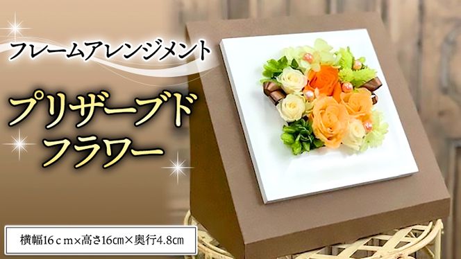 y錧}szt[AWgvU[uht[ [CT034ci]