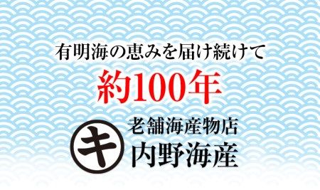 海苔 乾海苔（100枚）のり ノリ 有明海産 内野海産《45日以内に出荷予定(土日祝除く)》---sn_uchikawaki_45d_r7_32000_100p---