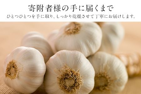 『上田農園』のにんにく約500g 熊本県玉名郡玉東町『上田農園』にんにく《7月上旬-9月中旬頃出荷》---sg_uedagarlic_a79_24_8000_500g---