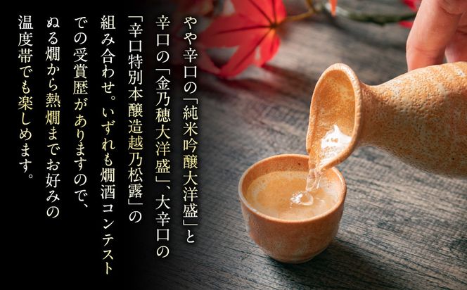 大洋盛の人気レギュラー酒飲み比べ  720ml×3本 3種飲み比べ（純米吟醸・普通酒・辛口特別本醸造）大洋盛セットI [AB4031]