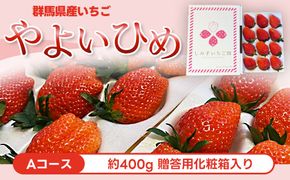 【Aコース】群馬県産いちご「やよいひめ」約400g 贈答用化粧箱入り ANV001