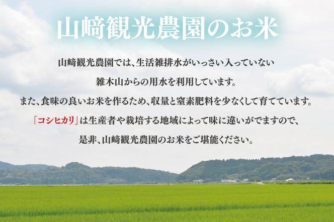 ＼先行予約・9月中旬より順次発送／山﨑観光農園のお米 コシヒカリ 白米5kg｜栃木県 益子町 ふるさと納税 お米 コシヒカリ 白米 精米 5kg 令和7年産 先行予約 9月中旬より順次発送 (AU014)