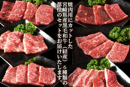 数量限定 ＜宮崎県産黒毛和牛(経産)6種焼肉セット 600g＞入金確認後、1～3か月以内に順次出荷【 国産 黒毛和牛 牛肉 牛 精肉 焼き肉 焼肉 サーロイン リブロース 肩ロース ウデ モモ バラ 贈答品 ギフト 贈り物 グルメ ミヤチク 宮崎県 国富町 】【b0750_my_x2】