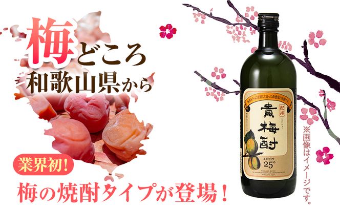 紀州の地酒 貴梅酎 きばいちゅう 25度 720ml×2本 エバグリーン 中野BC株式会社《30日以内に出荷予定(土日祝除く)》和歌山県 日高町 酒 お酒 地酒 梅焼酎---wsh_evg3_30d_24_14000_720ml---