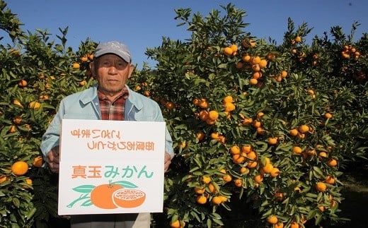 みかん 【先行予約】土井さんのみかん（10kg） ミカン みかん オレンジ おれんじ 柑橘 C3-23