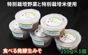 出雲の食べる発酵生みそ２５０ｇ×５個【1-144】