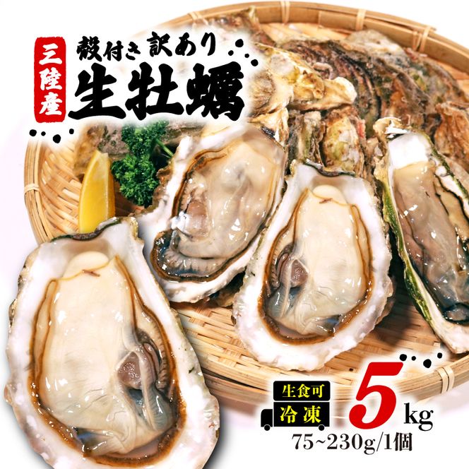 訳あり 岩手県産冷凍殻付き牡蠣 5kg [koku008_1]