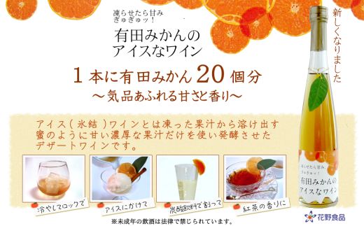 94 有田みかん氷結ワインとみかんわいんギフト(A94-1)