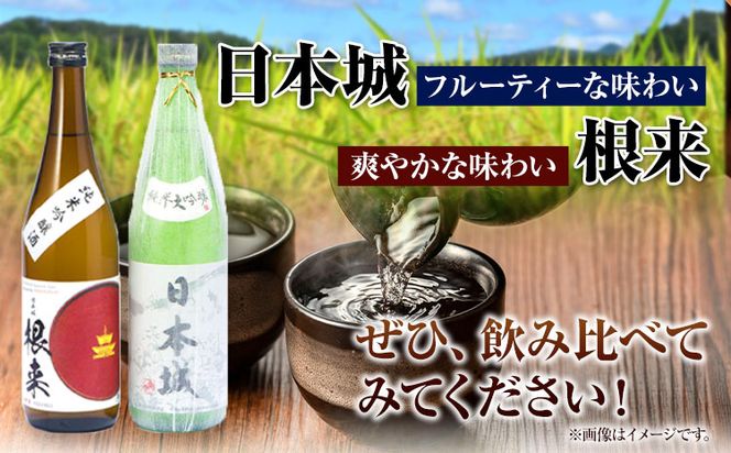 日本城 純米大吟醸酒 純米吟醸酒 根来 飲み比べセット 720ml×2本セット 厳選館《90日以内に出荷予定(土日祝除く)》 和歌山県 日高町 酒 純米吟醸 飲み比べ 1440ml 純米大吟醸酒 純米吟醸酒---wsh_genngjk_90d_22_15000_2p---