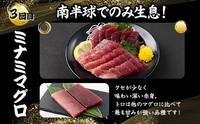 室戸屋誉丸の厳選マグロ（赤身・中トロ）を定期便で食べ比べ！【３回お届け】mh019