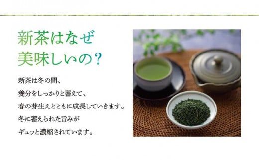 【予約返礼品/2025年5月以降順次発送】新茶 八女星野茶 120g×2本 緑茶 八女茶 お茶 茶葉 セット お取り寄せグルメ お取り寄せ 福岡 お土産 九州 福岡土産 取り寄せ グルメ 福岡県