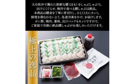 豊後鱧のしゃぶしゃぶセット_29026A