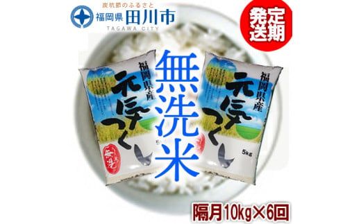 【定期便/隔月】　福岡県産元気つくし 無洗米 10kg×6回 お取り寄せグルメ　お取り寄せ 福岡 お土産 九州 ご当地グルメ 福岡土産 取り寄せ グルメ 福岡県 食品