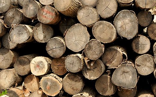 ≪キャンプにおすすめ！≫スウェーデントーチ（大）、薪5kg（広葉樹）キャンプストーブ・焚き火用、スモーク用チップ30gセット【01121】