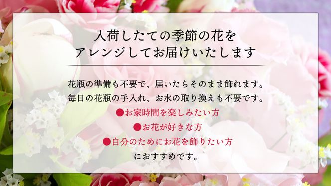 【 定期便 6ヶ月 】 毎月届く 季節の アレンジメント Lサイズ 花 生花 6回 おうち時間 定期便 新生活 応援 [CT064ci]