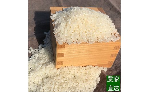 【令和7年度米】【先行予約】農家直送「 富富富 」5kg（玄米）｜富山米 ふふふ　※北海道・沖縄・離島への配送不可