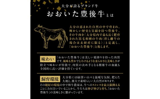 【A01145】おおいた豊後牛 ロールステーキ 600ｇ