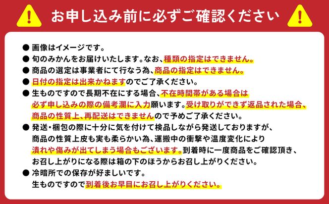 【訳あり】 熊本県八代市産 ご家庭用みかん5kg 蜜柑 柑橘 ミカン 