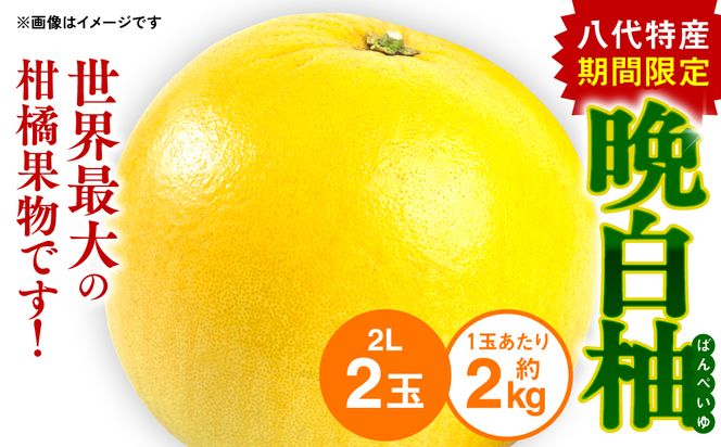 yF{szys\z Y ӔM i΂؂j 2LTCY(2kg)×2 k ʕ t[c F{Y ΂؂ t[c k Yi y2025N12{菇z