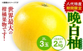 八代特産 晩白柚 （ばんぺいゆ） 2Lサイズ(約2kg)×3玉 柑橘 果物 フルーツ 熊本県産 ばんぺいゆ フルーツ 柑橘 特産品