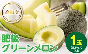 【先行予約】高糖度 2026年 八代産 肥後グリーンメロン 3Lサイズ以上 1玉 化粧箱入 お中元 夏 ギフト メロン めろん フルーツ 期間限定 【2026年5月中旬より順次発送】