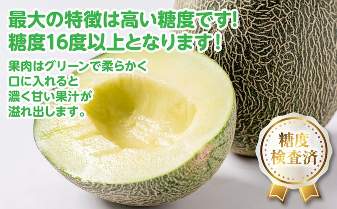 【先行予約】高糖度 2026年 八代産 肥後グリーンメロン 3Lサイズ以上 2玉 化粧箱入 お中元 夏 ギフト メロン めろん フルーツ 期間限定 【2026年5月中旬より順次発送】