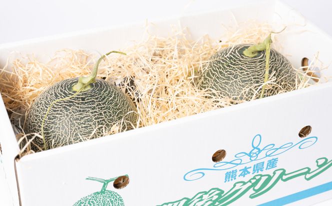 【先行予約】高糖度 2026年 八代産 肥後グリーンメロン 3Lサイズ以上 1玉 化粧箱入 お中元 夏 ギフト メロン めろん フルーツ 期間限定 【2026年5月中旬より順次発送】