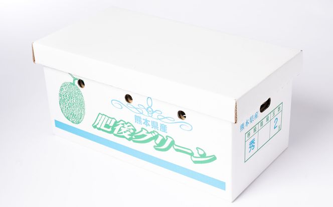 【先行予約】高糖度 2026年 八代産 肥後グリーンメロン 3Lサイズ以上 2玉 化粧箱入 お中元 夏 ギフト メロン めろん フルーツ 期間限定 【2026年5月中旬より順次発送】