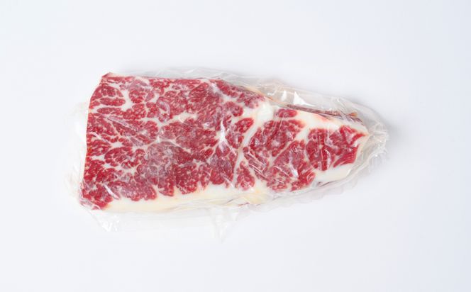 熊本名物 馬刺し 170g ブロック 馬肉