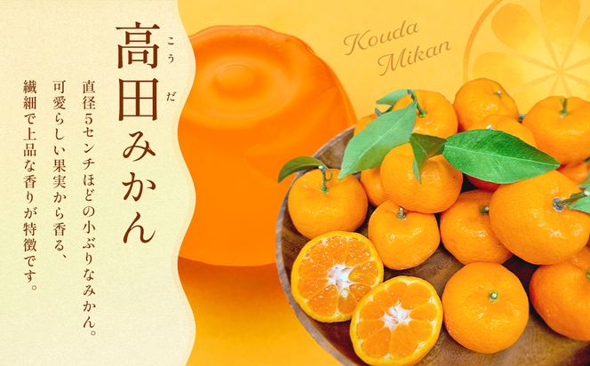 高田みかんゼリー　8個入