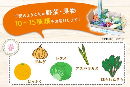 3ヶ月定期便 旬の新鮮野菜・果物詰合せセット (計3回お届け)たっぷり10-15品目 熊本県氷川町産 道の駅竜北《お申込み月の翌月から出荷開始》---sh_cmitiysibtei_21_63000_mo3num1---