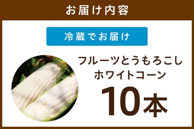 【先行予約】 生食も！高糖度！もぎたて！ フルーツトウモロコシ「ホワイトコーン」（2025年6月下旬～発送）　DE00125