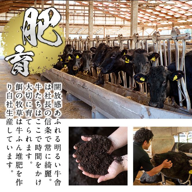 【鹿児島県産】徳重さんのA5黒毛和牛赤身ステーキ(計600g) a8-007