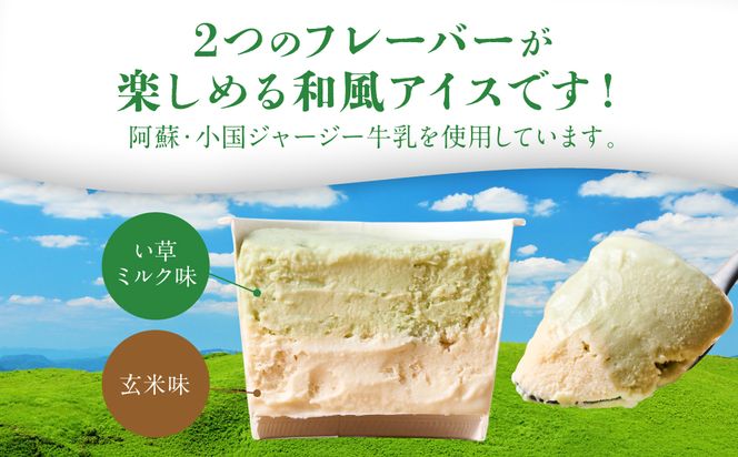 たたみアイス 8個入 いぐさ 畳 スイーツ いぐさミルク味 玄米味 食用いぐさ 和風アイス デザート おやつ ジャージー牛乳使用