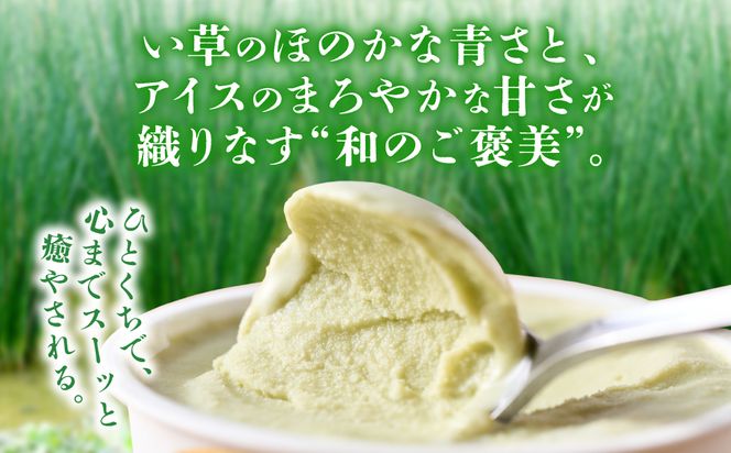 たたみアイス 8個入 いぐさ 畳 スイーツ いぐさミルク味 玄米味 食用いぐさ 和風アイス デザート おやつ ジャージー牛乳使用