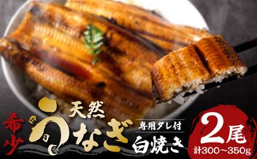 熊本県八代市産 天然うなぎ白焼き(中) 2本 (計300～350g) 蒲焼のたれ付き