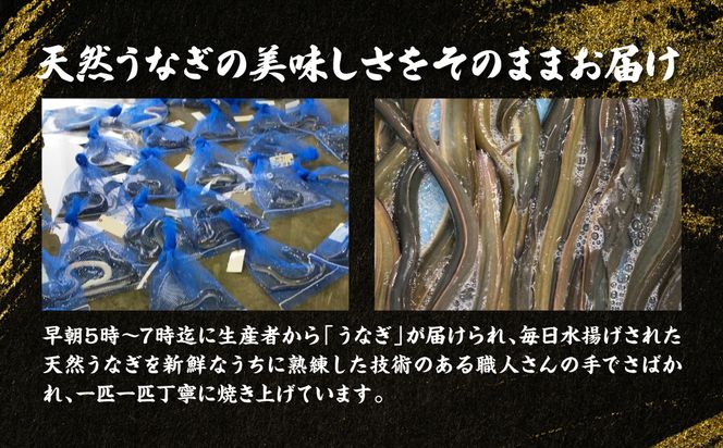 熊本県八代市産 天然うなぎ白焼き(中) 2本 (計300～350g) 蒲焼のたれ付き