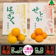 定期便 貯蔵 はっさく ＆ ハウス せとか 全2回 南泰園  二級品 セット みかん  	BS204
