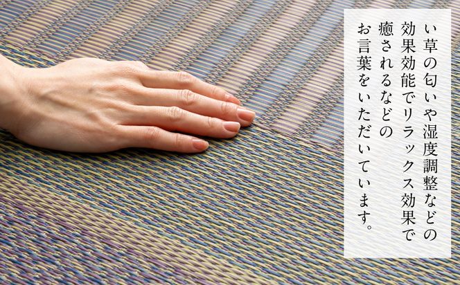 熊本県八代市産のい草を使って織り上げた茣蓙(ござ)『DXオルシャ』(サイズ：95cm×150cm)　国産 イグサ ラグ カーペット 絨毯 マット 織物 敷き物 インテリア