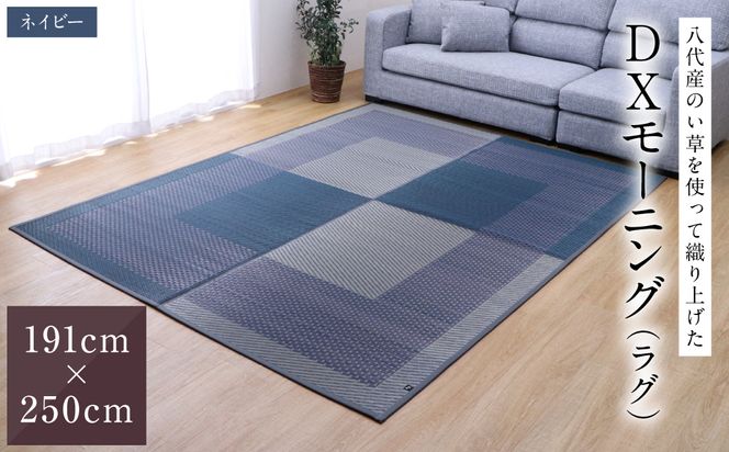 yF{szF{sŶgĐDグOwDX[jOx(TCYF191cm×250cm)(J[FlCr[) Y COT   O J[ybg O~ }bg D ~ CeA