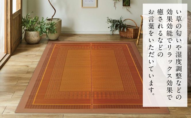熊本県八代市産のい草を使って織り上げたラグ『DXランクス』(サイズ：191cm×250cm)(カラー：ベージュ) 国産 イグサ 茣蓙 ござ ラグ カーペット 絨毯 マット 織物 敷き物 インテリア