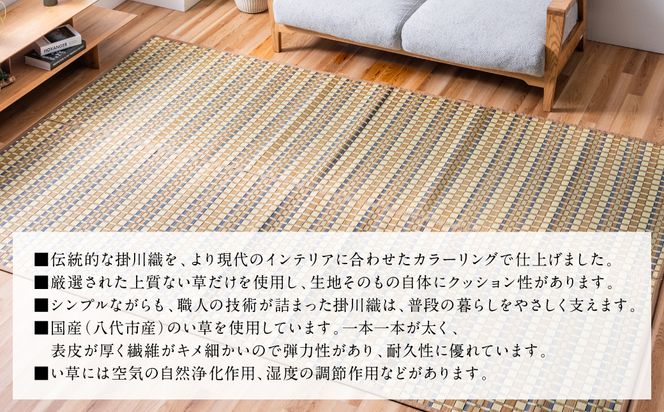 熊本県八代市産のい草を使って丹精込めて織り上げた『タロ』(サイズ：江戸間3畳)(カラー：ベージュ) 国産 イグサ 茣蓙 ござ ラグ カーペット 絨毯 マット 織物 敷き物 インテリア