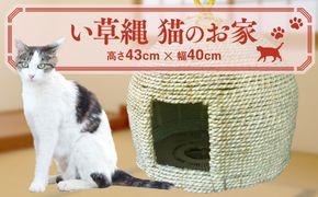 い草縄 猫のお家