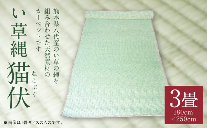 yF{sz Li3j1,800mm×2,500mm J[ybg O }bg  C  COT a CeA BY Y {
