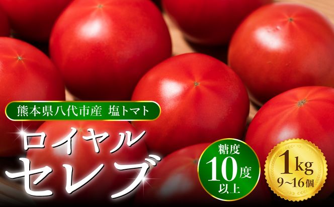 【先行予約】 くまもと塩トマト「ロイヤルセレブ」 1kg (糖度10度以上：9～16個入り) 【2025年1月上旬より順次発送】