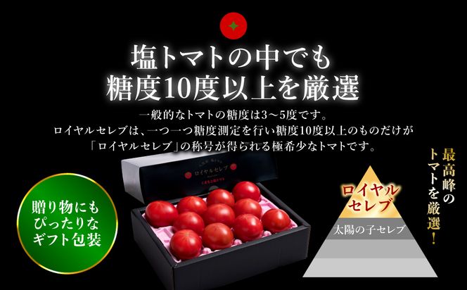 【先行予約】 くまもと塩トマト「ロイヤルセレブ」 1kg (糖度10度以上：9～16個入り) 【2025年1月上旬より順次発送】