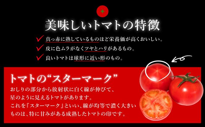 【先行予約】 くまもと塩トマト「ロイヤルセレブ」 1kg (糖度10度以上：9～16個入り) 【2025年1月上旬より順次発送】